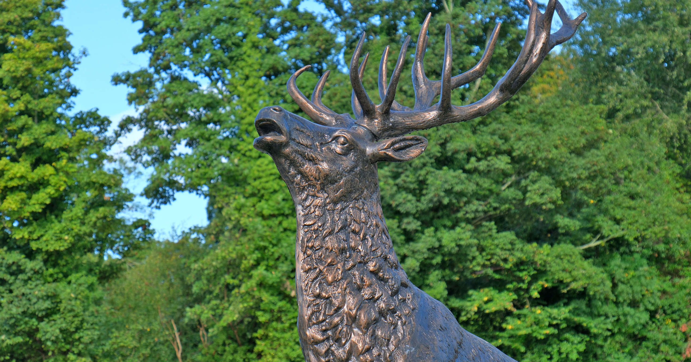 The Park